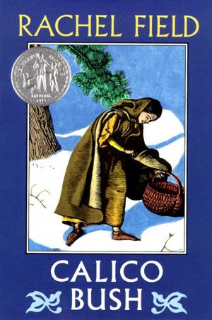 Cover of the book Calico Bush by Kenneth Oppel