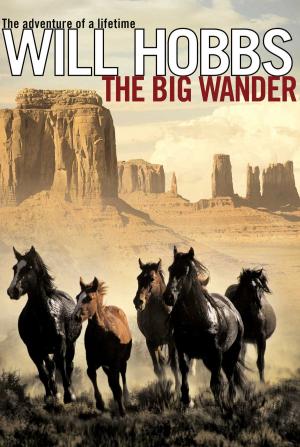 Cover of the book The Big Wander by Frances O'Roark Dowell