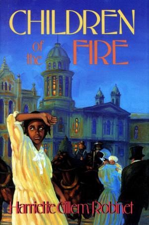 Cover of the book Children of the Fire by Kathleen Kudlinski