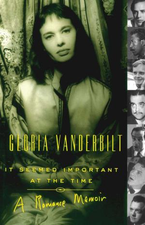 Cover of the book It Seemed Important at the Time by Andrea Mays