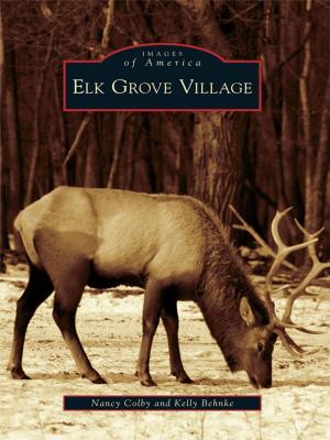 Cover of the book Elk Grove Village by Hans DePold, Congressman Joe Courtney