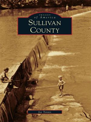 Cover of the book Sullivan County by Gus Spector