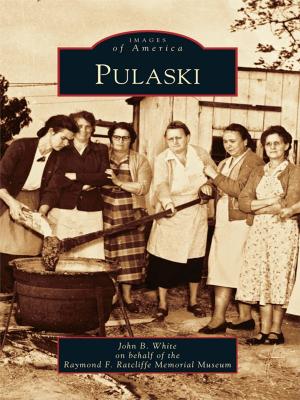 Cover of the book Pulaski by Kristin Bowen