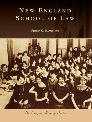Cover of the book New England School of Law by James W. Baker