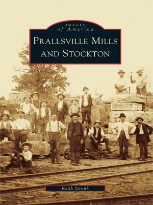 Cover of the book Prallsville Mills and Stockton by Jeremy K. Davis