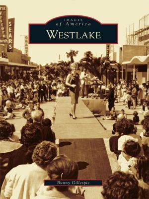Cover of the book Westlake by J.D. Wilkes