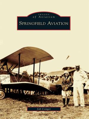 Cover of the book Springfield Aviation by Elizabeth Taylor