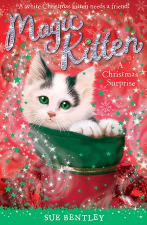 Book cover of A Christmas Surprise