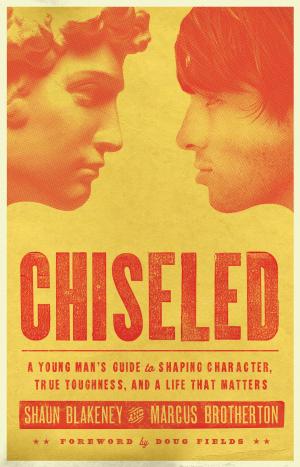 Book cover of Chiseled