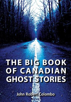 Cover of the book The Big Book of Canadian Ghost Stories by David A. Poulsen