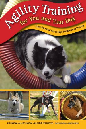 Cover of the book Agility Training for You and Your Dog by Michael Sallah, Mitch Weiss