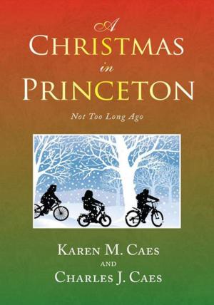 Cover of the book A Christmas in Princeton by Dennis Silas