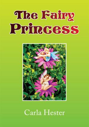 Cover of the book The Fairy Princess by Helen Zoe Dubenski