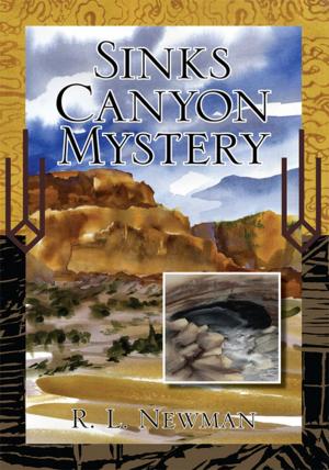 Cover of the book Sinks Canyon Mystery by Isaac Hill Sr.