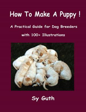 Cover of the book How to Make a Puppy! by Ana Letic