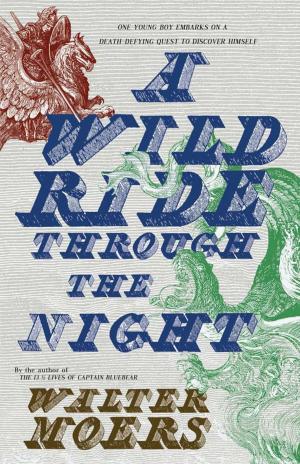 Cover of the book A Wild Ride Through the Night by Lisa Greenwald