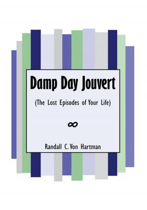 Book cover of Damp Day Jouvert