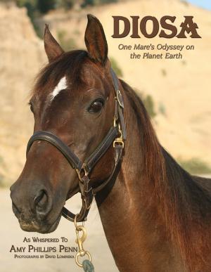 Book cover of Diosa
