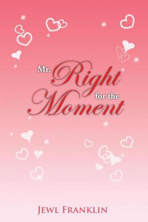 Cover of the book Mr. Right for the Moment by John N. Vaughan