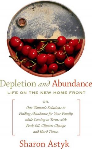 Cover of the book Depletion & Abundance by Gerry O'Sullivan