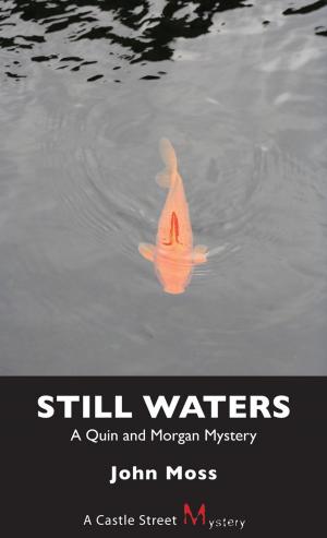 Cover of the book Still Waters by Mark Osbaldeston, F.R. (Hamish) Berchem, Frederick H. Armstrong, Scott Kennedy, Jane Pitfield