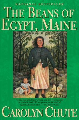 Book cover of The Beans of Egypt, Maine