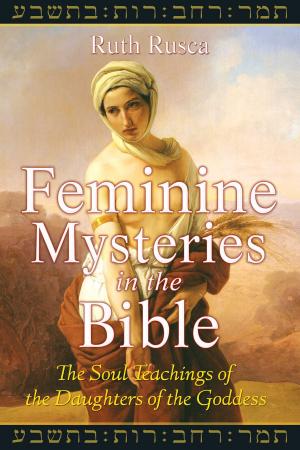 Cover of the book Feminine Mysteries in the Bible by Amy Maia Parker