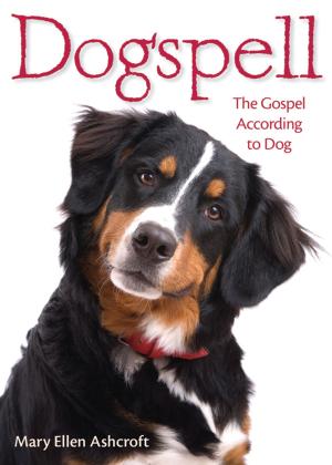Cover of the book Dogspell by Paul V. Marshall