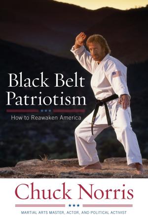 Cover of the book Black Belt Patriotism by Paul Batura