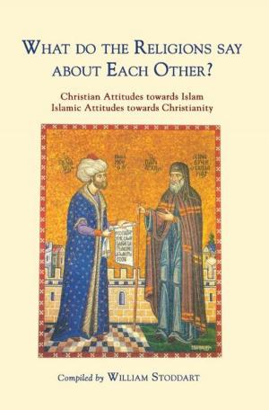 Cover of the book What Do The Religions Say About Each Other? by Mark Anderson