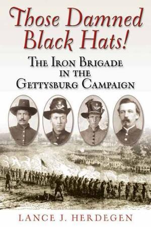 Cover of the book Those Damned Black Hats! by Wittenberg Eric J.