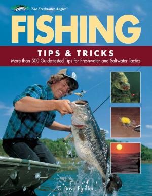Cover of the book Fishing Tips & Tricks by Karen Ruth