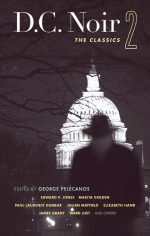 Cover of the book D.C. Noir 2 by Peter Hartey