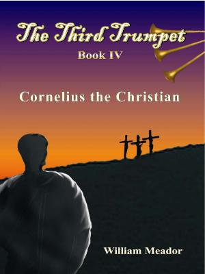 Cover of The Third Trumpet Book 4