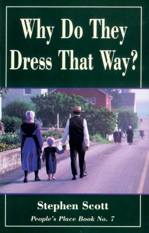 Cover of the book Why Do They Dress That Way? by Jennifer Browne