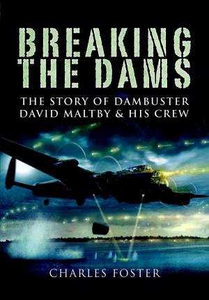 Book cover of Breaking the Dams