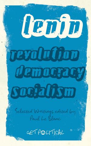 Cover of the book Revolution, Democracy, Socialism by G. J. Ashworth, Brian Graham, J. E. Tunbridge