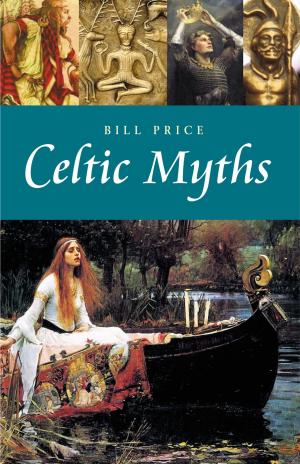 Book cover of Celtic Myths