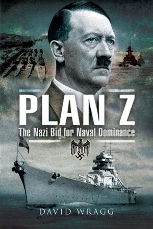 Book cover of Plan Z