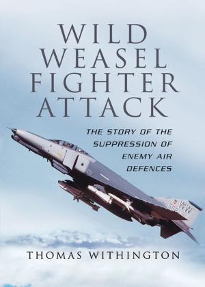 Book cover of Wild Weasel Fighter Attack
