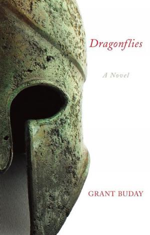 Cover of the book Dragonflies by Shane Neilson