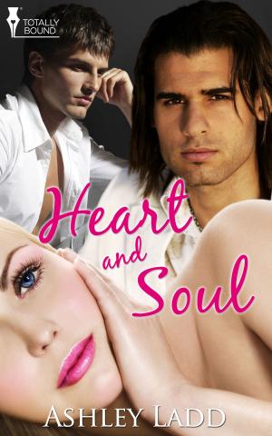 Cover of the book Heart and Soul by Ashley Ladd