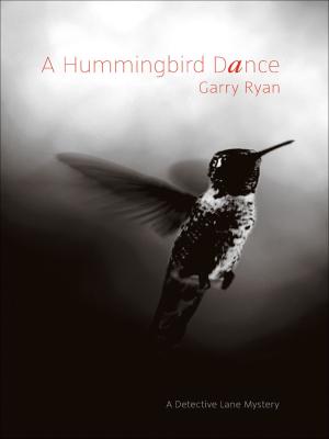 Book cover of A Hummingbird Dance