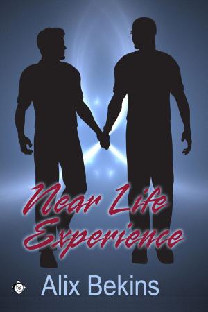 Cover of the book Near-Life Experience by R. G. Thomas