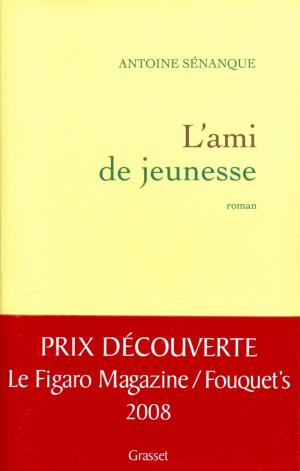 Cover of the book L'ami de jeunesse by Pascal Quignard