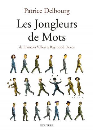 Cover of the book Les jongleurs de mots by Vénus Khoury-Ghata