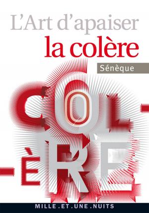 Cover of the book L'art d'apaiser la colère by Michel Del Castillo