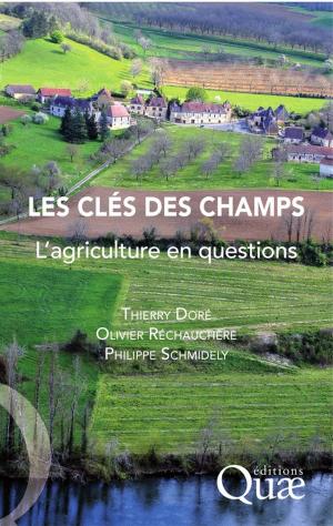 Cover of the book Les clés des champs by Denis Barthelemy, Jacques David