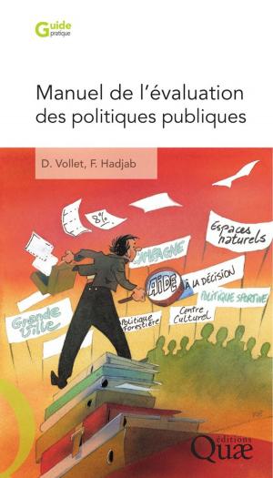 Cover of the book Manuel de l'évaluation des politiques publiques by Paul Nicolas, Denis Tourvieille de Labrouhe, Felicity Vear, Etienne Pilorgé