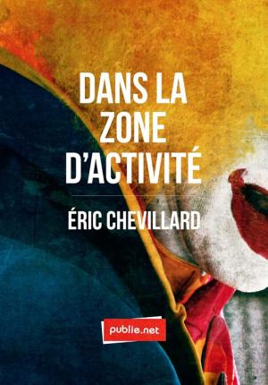 Cover of the book Dans la zone d'activité by Hubert Guillaud